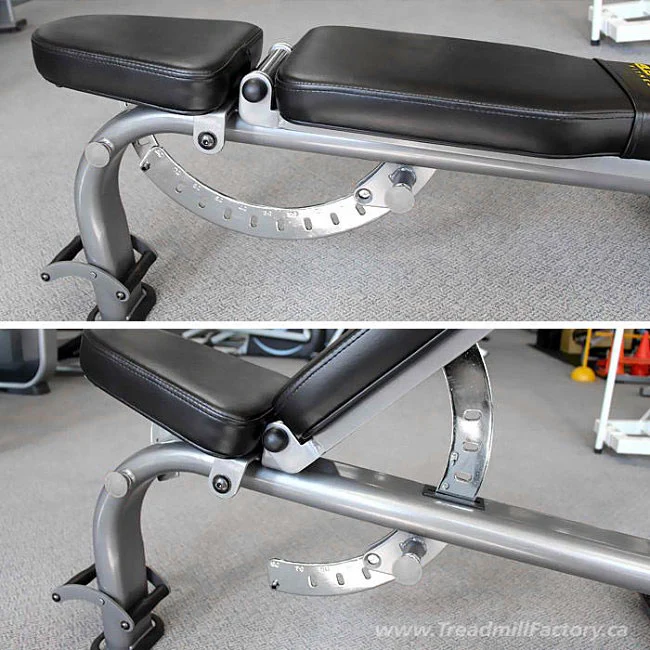 Element Fitness Adjustable FID Bench 824FID - Image 4